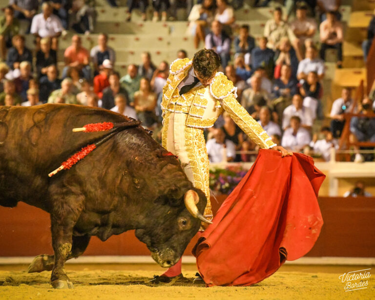 Bayonne Corrida Des F Tes Blanche Site Officiel De Dorian Canton